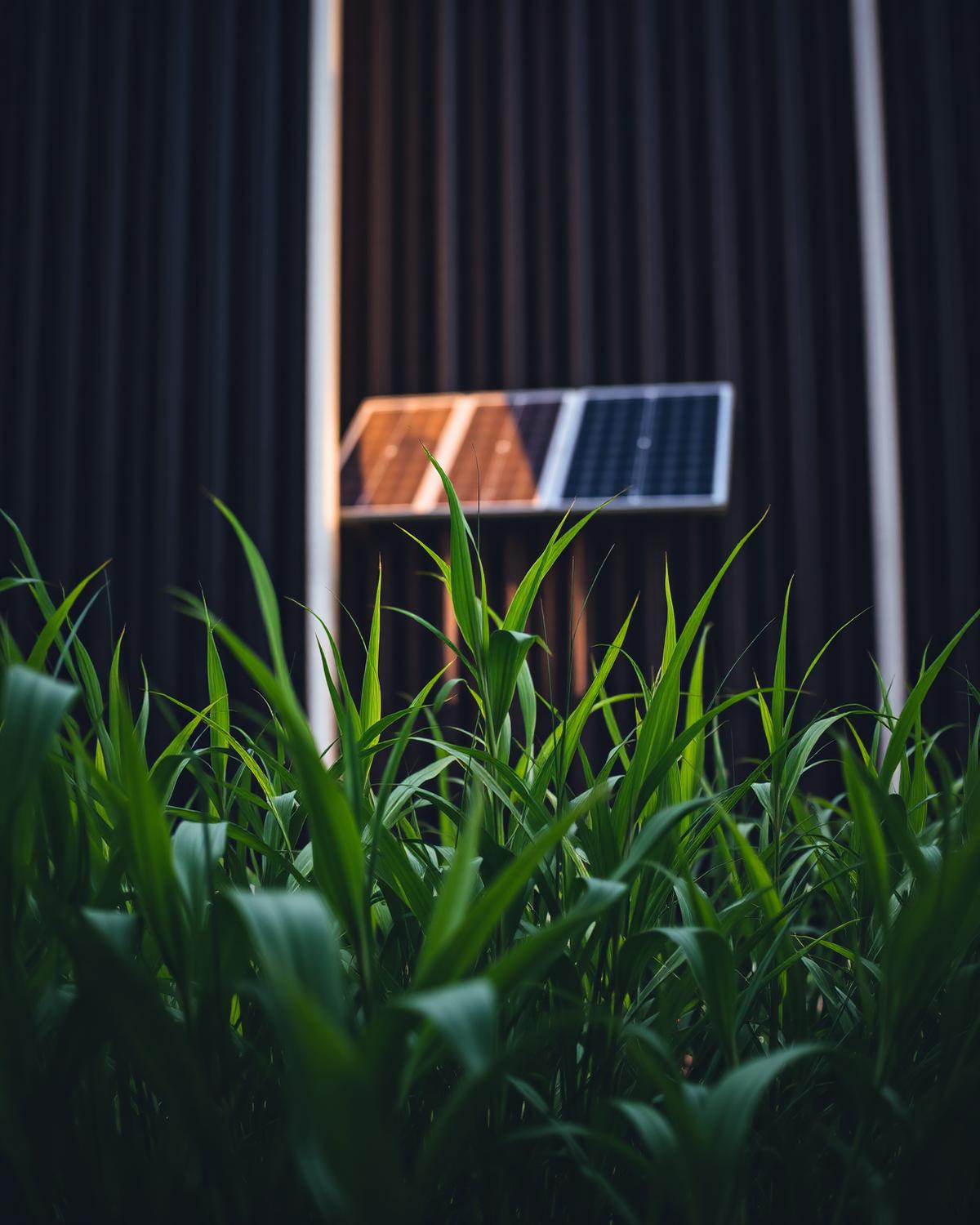 Sustainable development